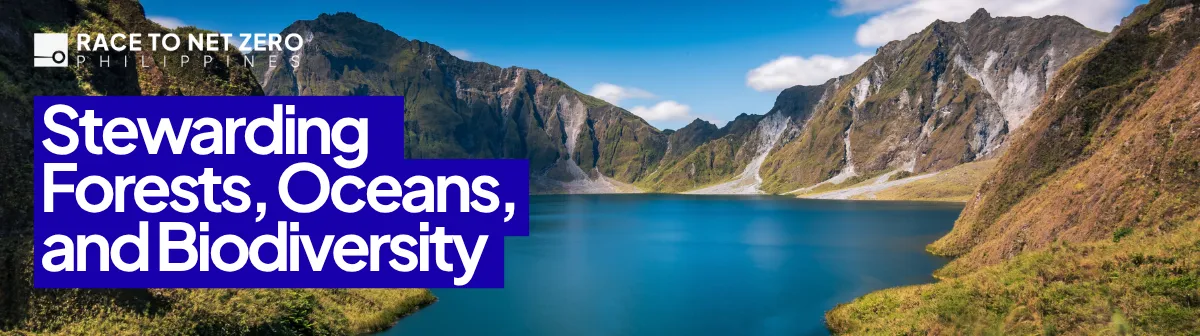 Race to Net Zero Philippines